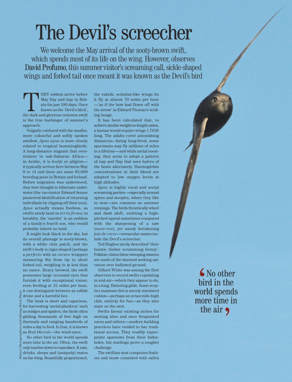 Country Life Preview Pages