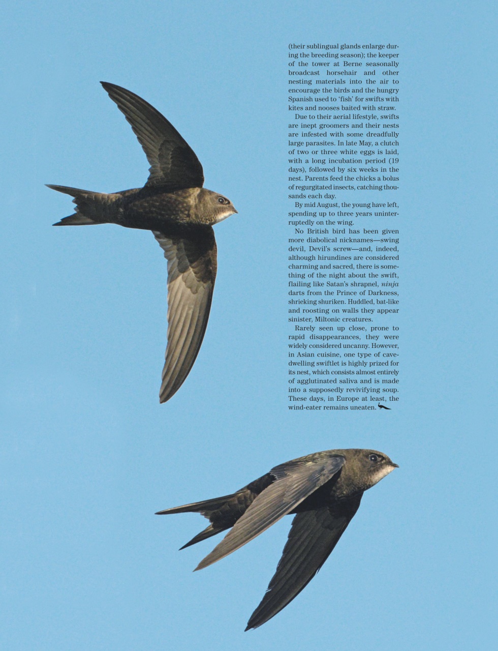 Country Life Preview Pages