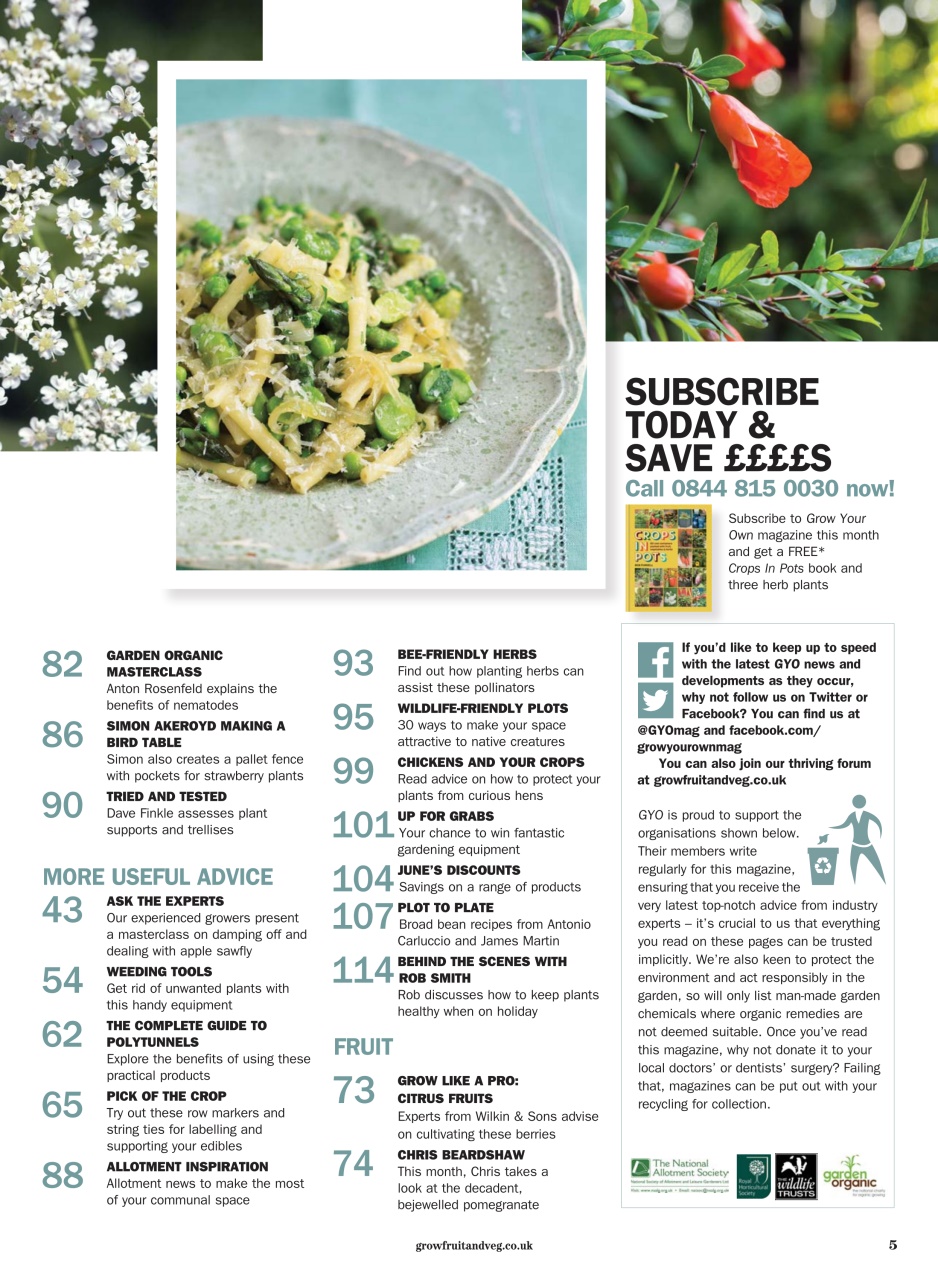 Grow Your Own Preview Pages