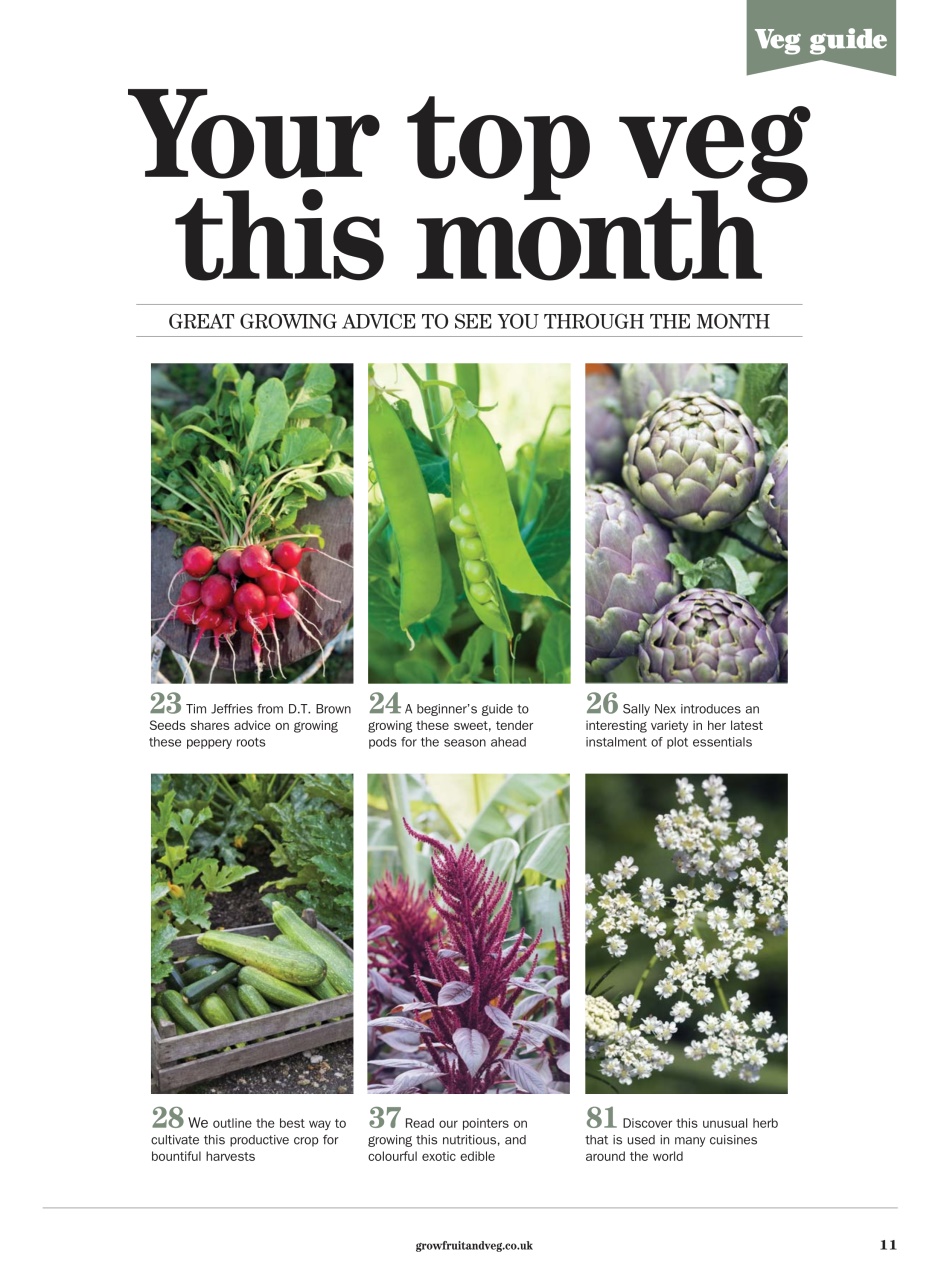 Grow Your Own Preview Pages