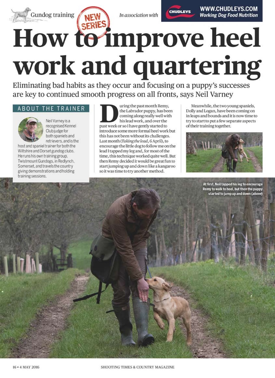 Shooting Times & Country Preview Pages