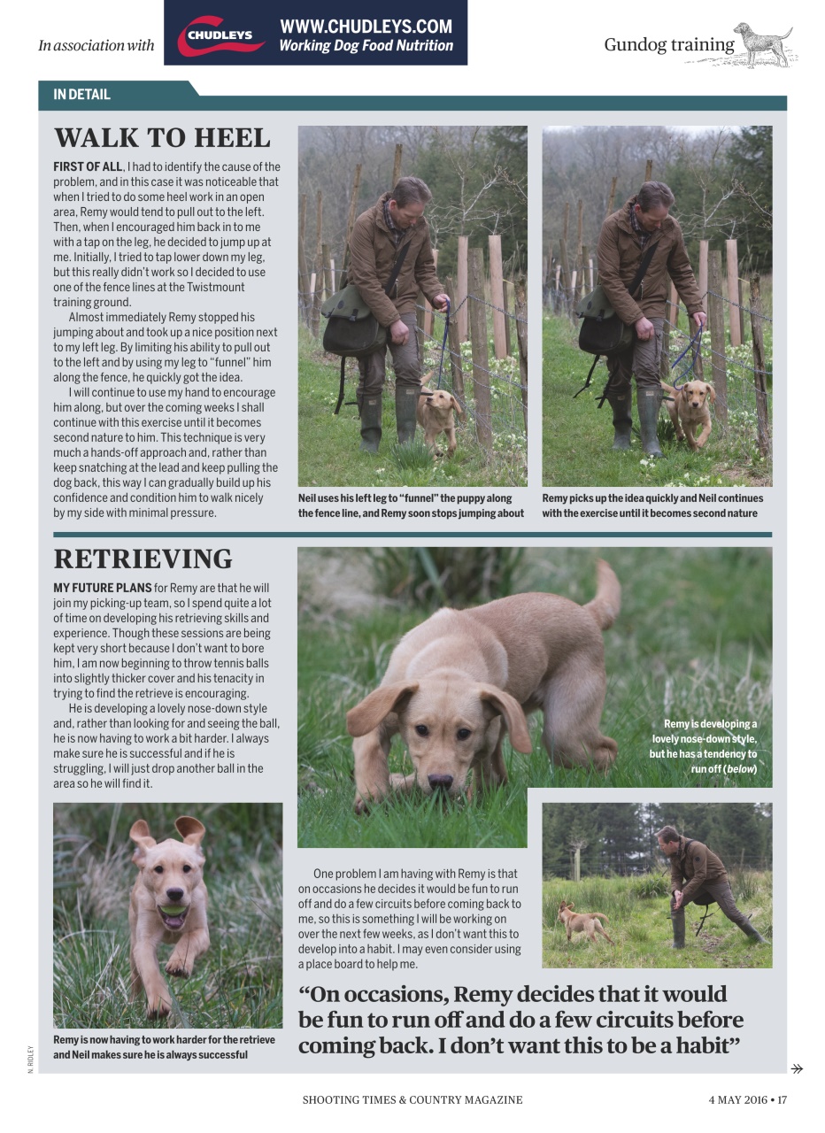 Shooting Times & Country Preview Pages