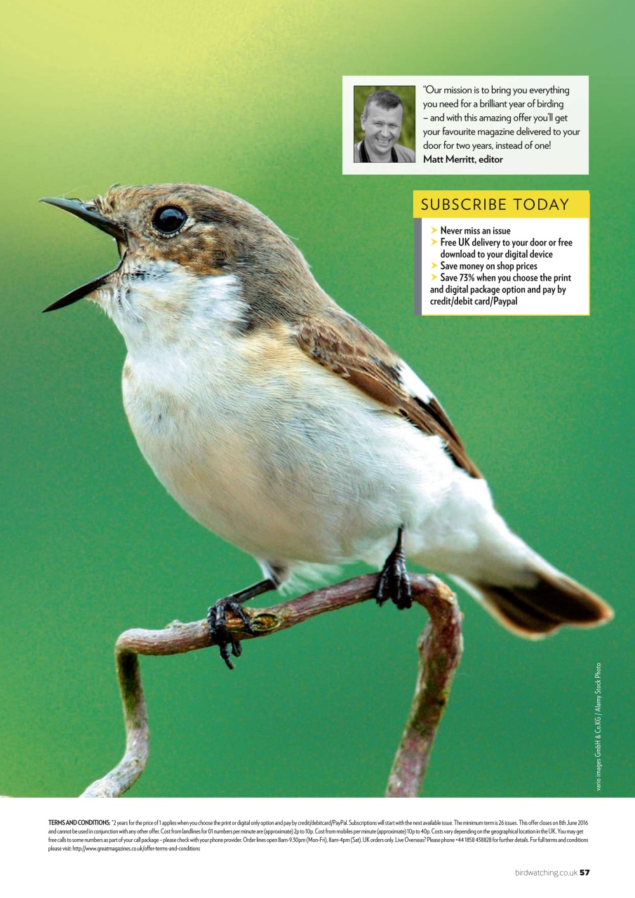 Bird Watching Preview Pages