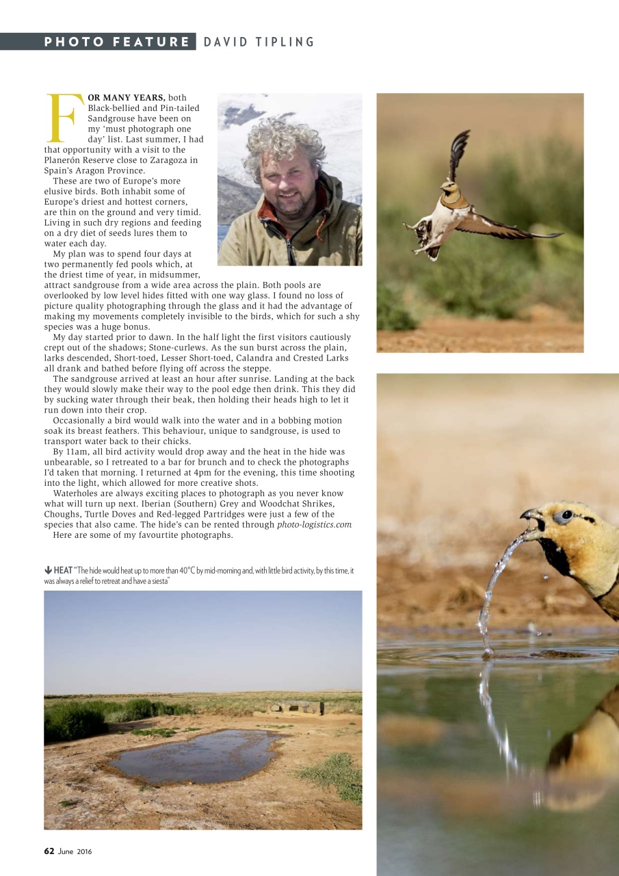 Bird Watching Preview Pages