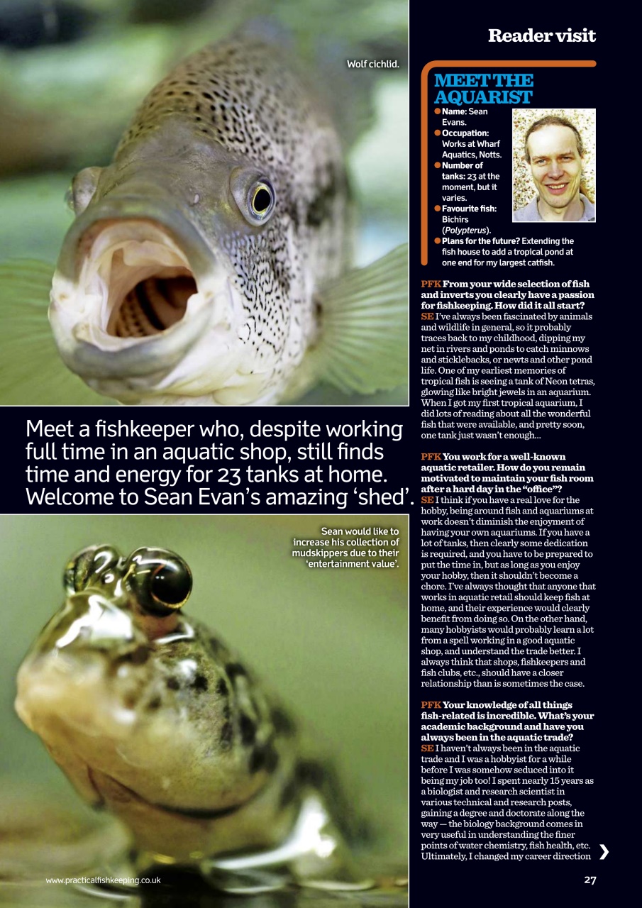 Practical Fishkeeping Preview Pages