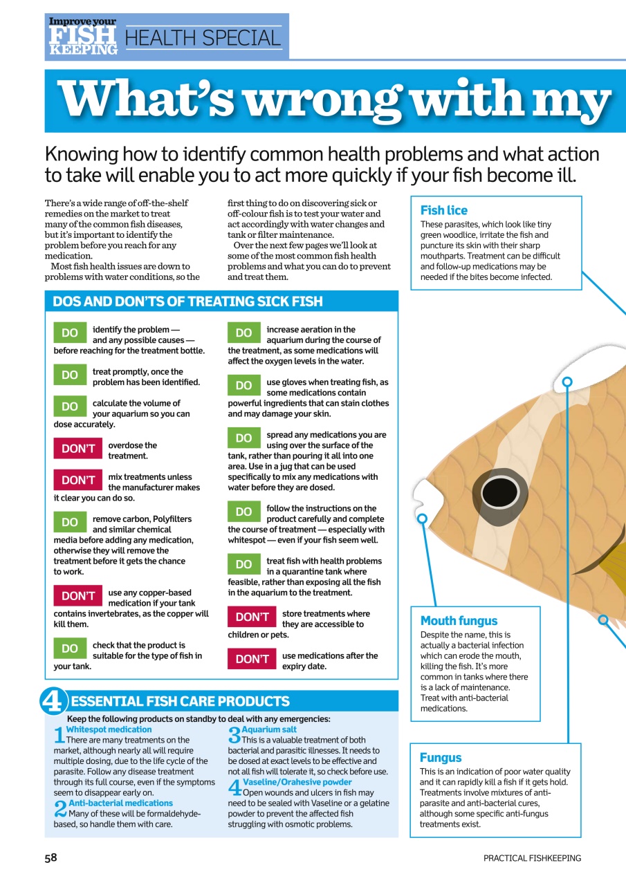 Practical Fishkeeping Preview Pages