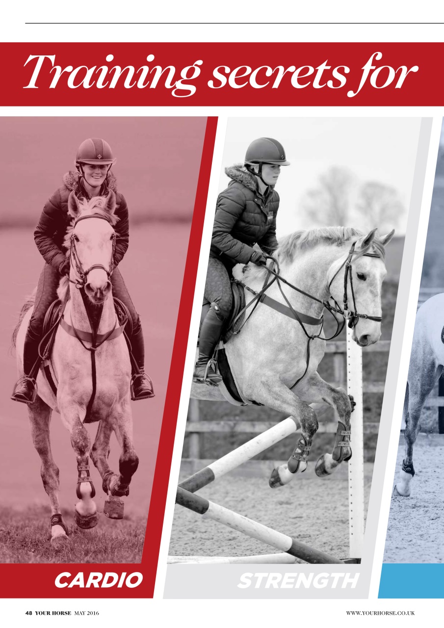 Your Horse Preview Pages