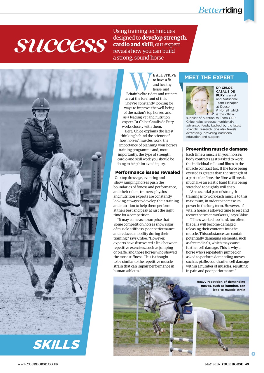 Your Horse Preview Pages