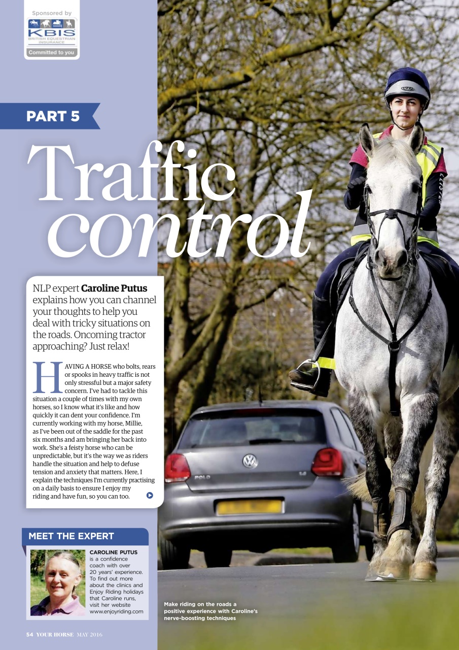 Your Horse Preview Pages