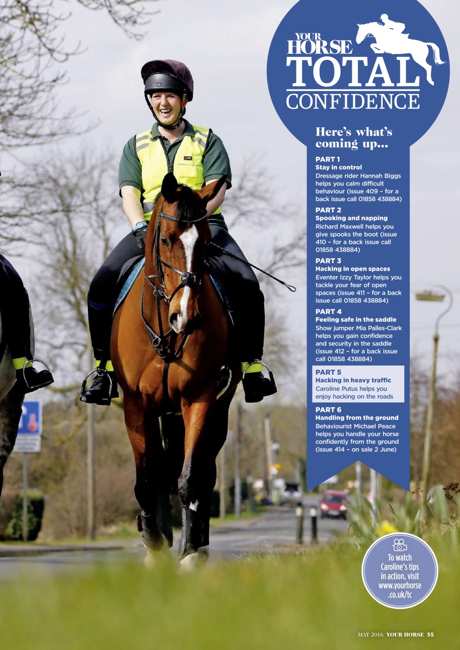 Your Horse Preview Pages