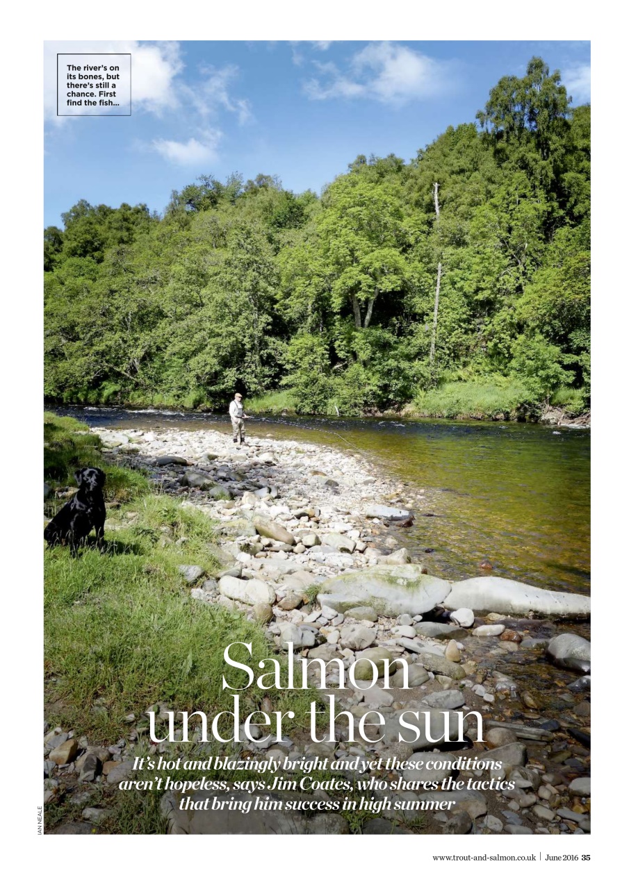 Trout & Salmon Preview Pages