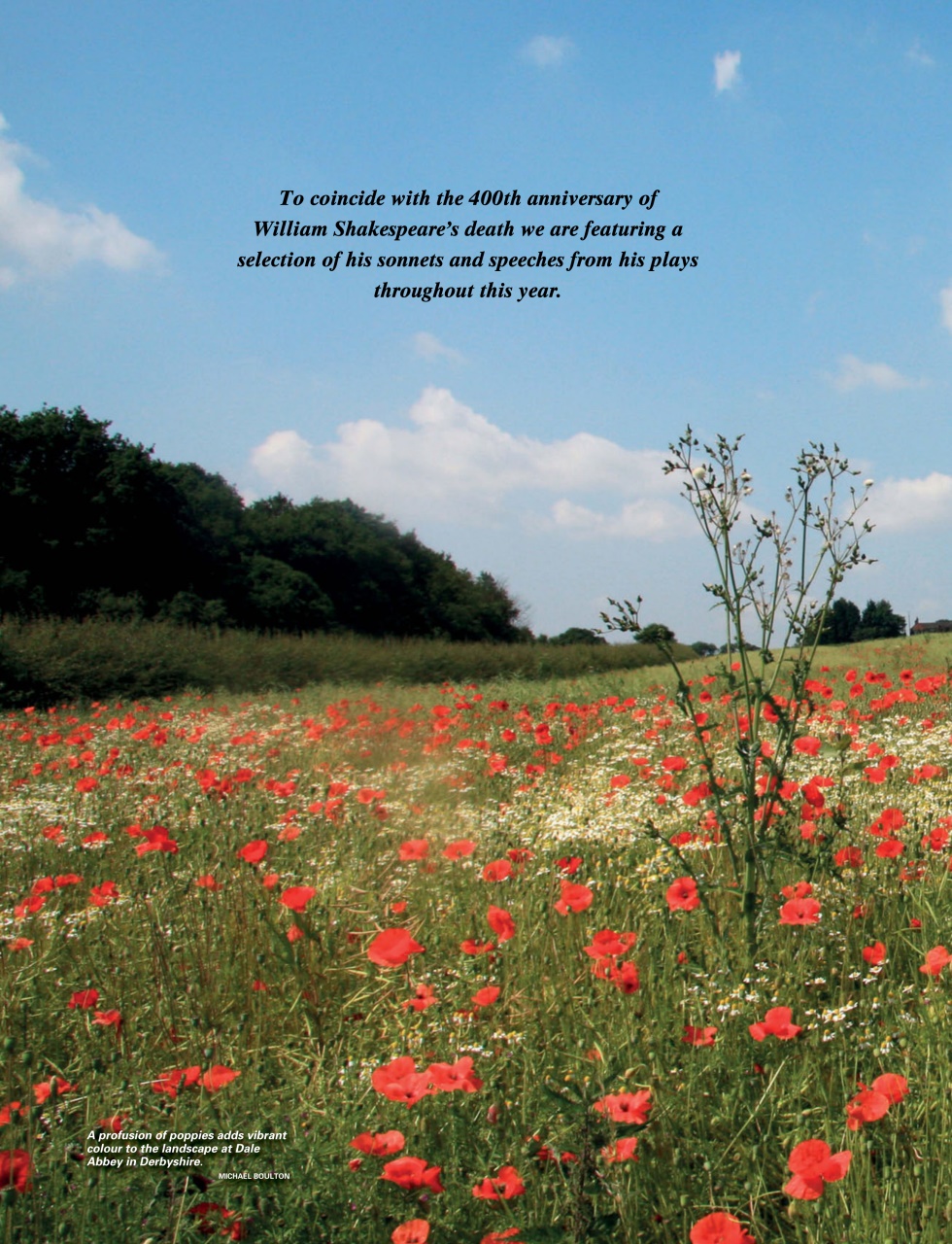 This England Preview Pages