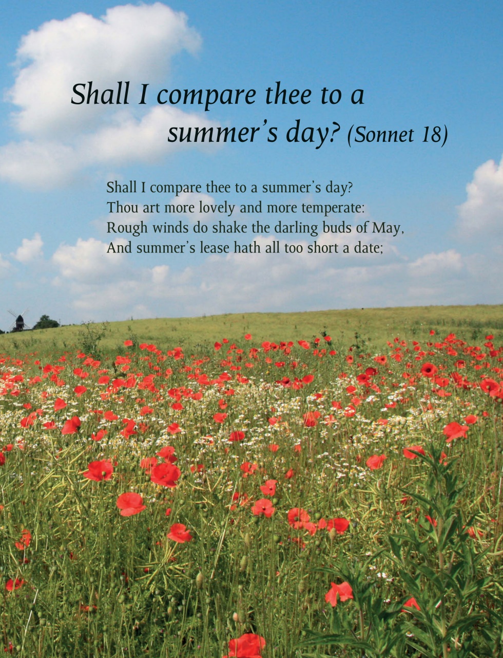 This England Preview Pages