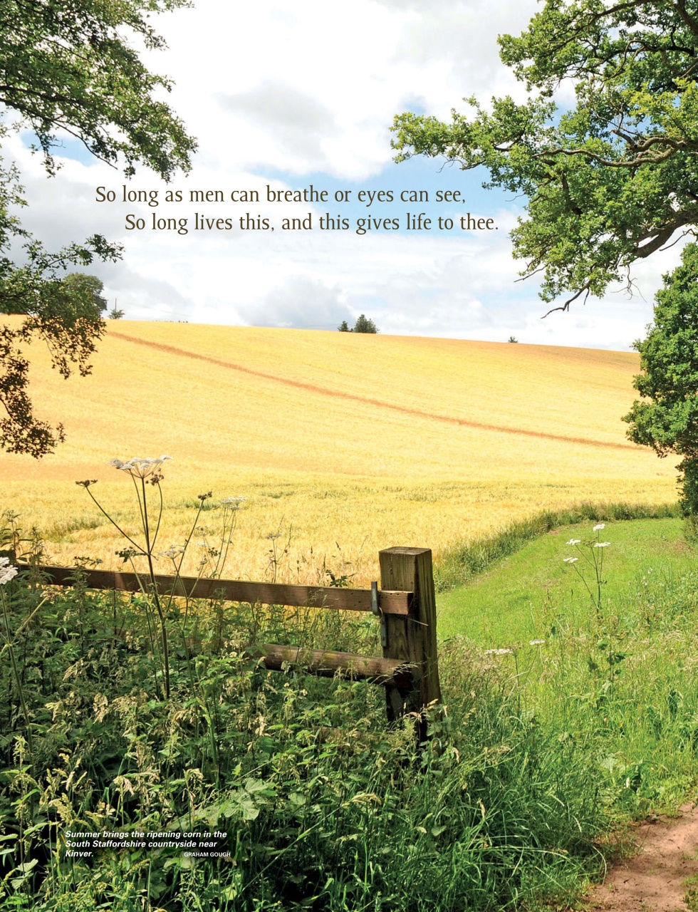 This England Preview Pages