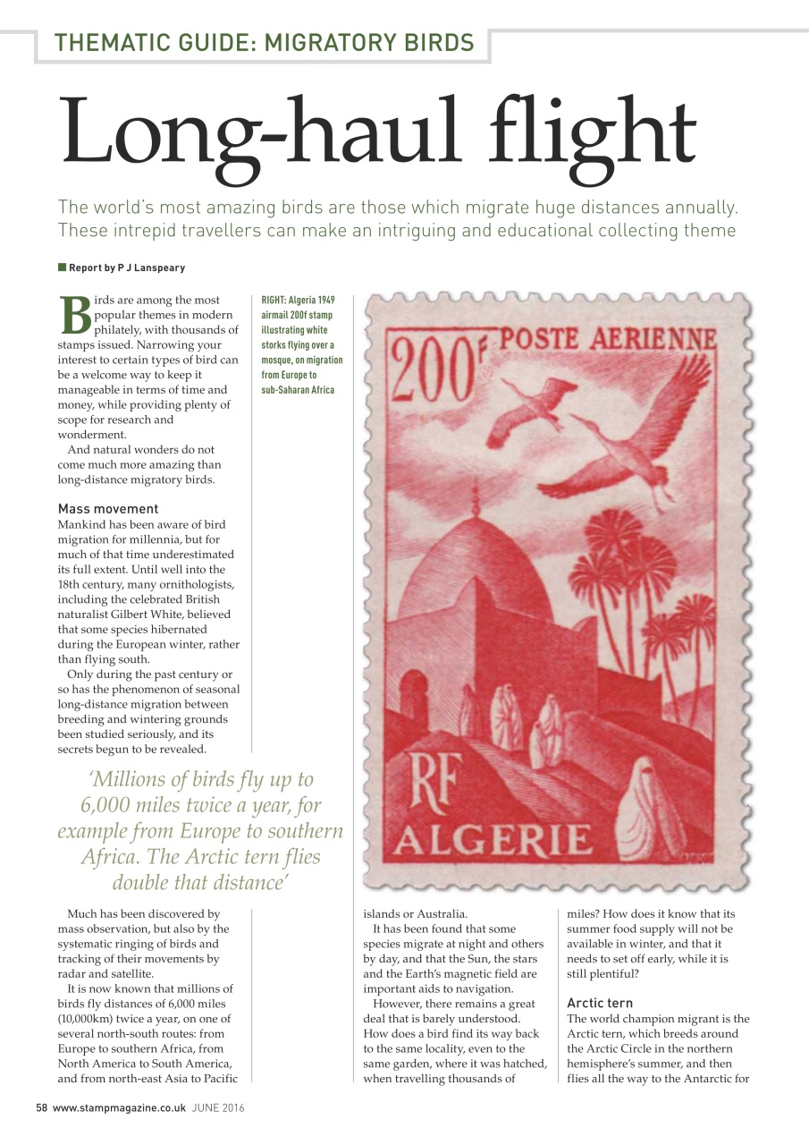 Stamp Magazine Preview Pages