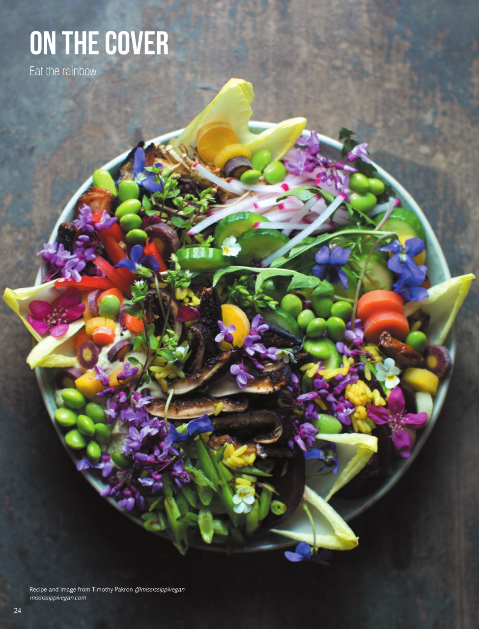 Vegan Life Preview Pages