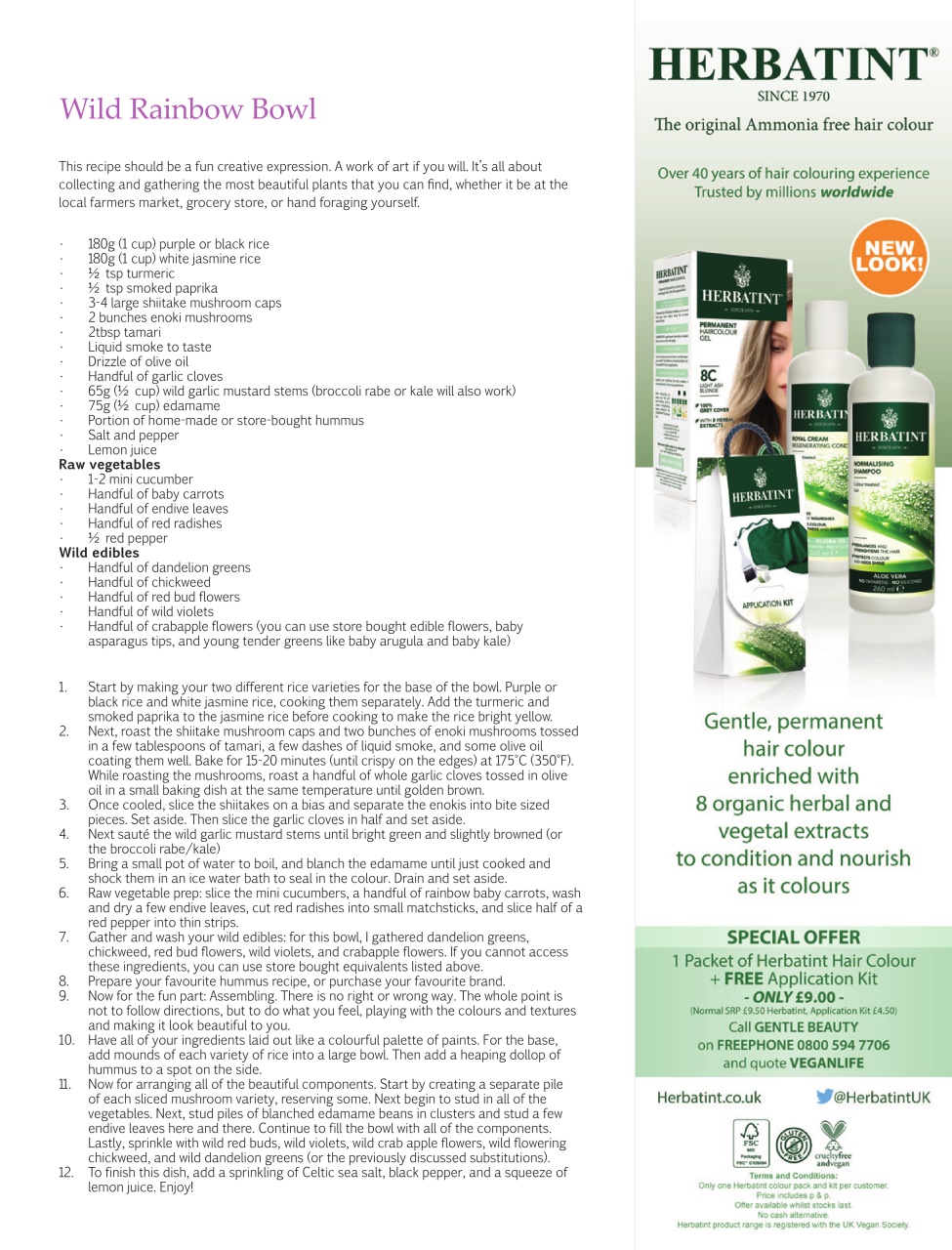 Vegan Life Preview Pages