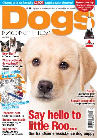 Dogs Monthly issue June 2016