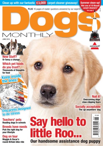 Dogs Monthly issue 