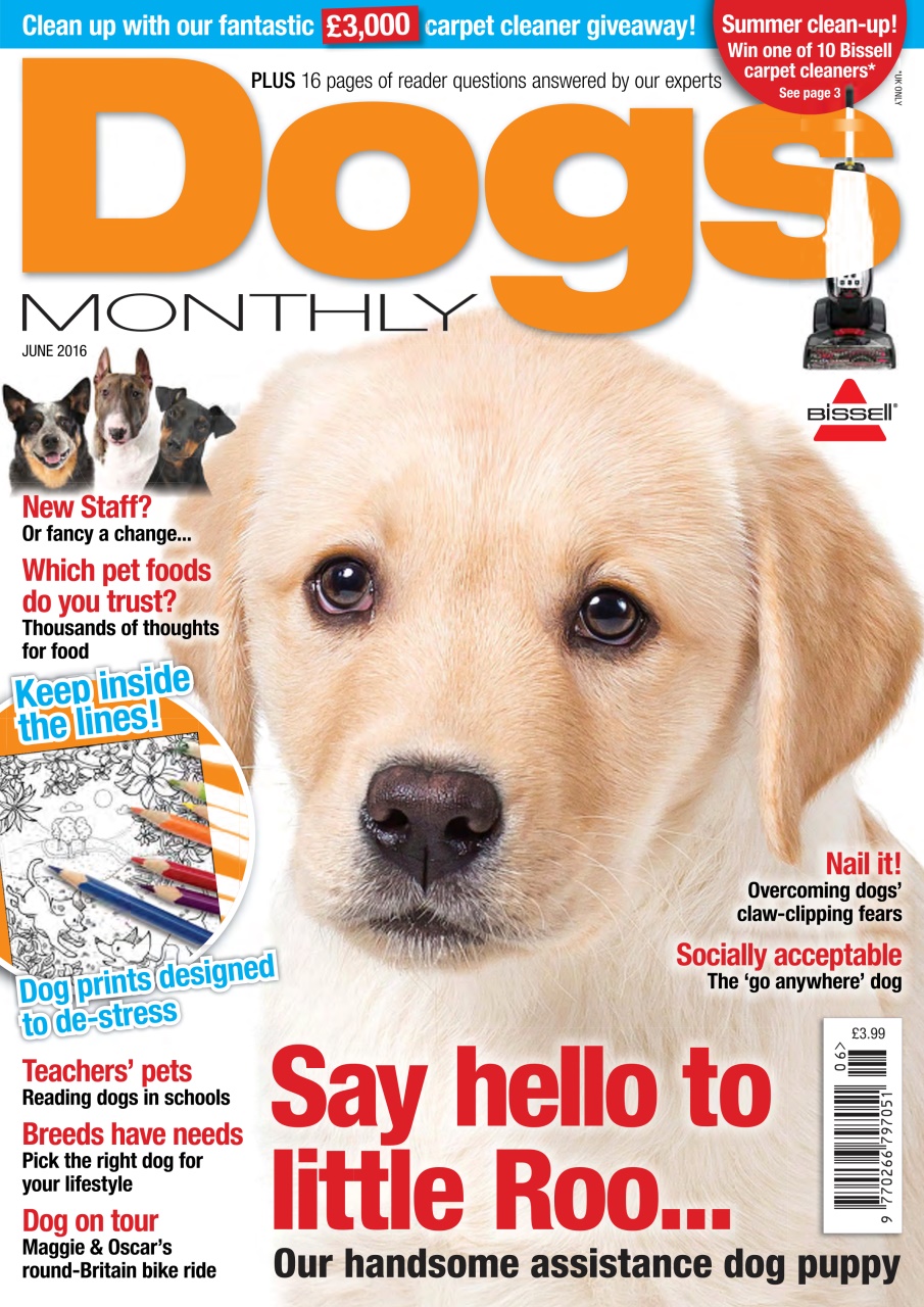 Dogs Monthly Preview Pages