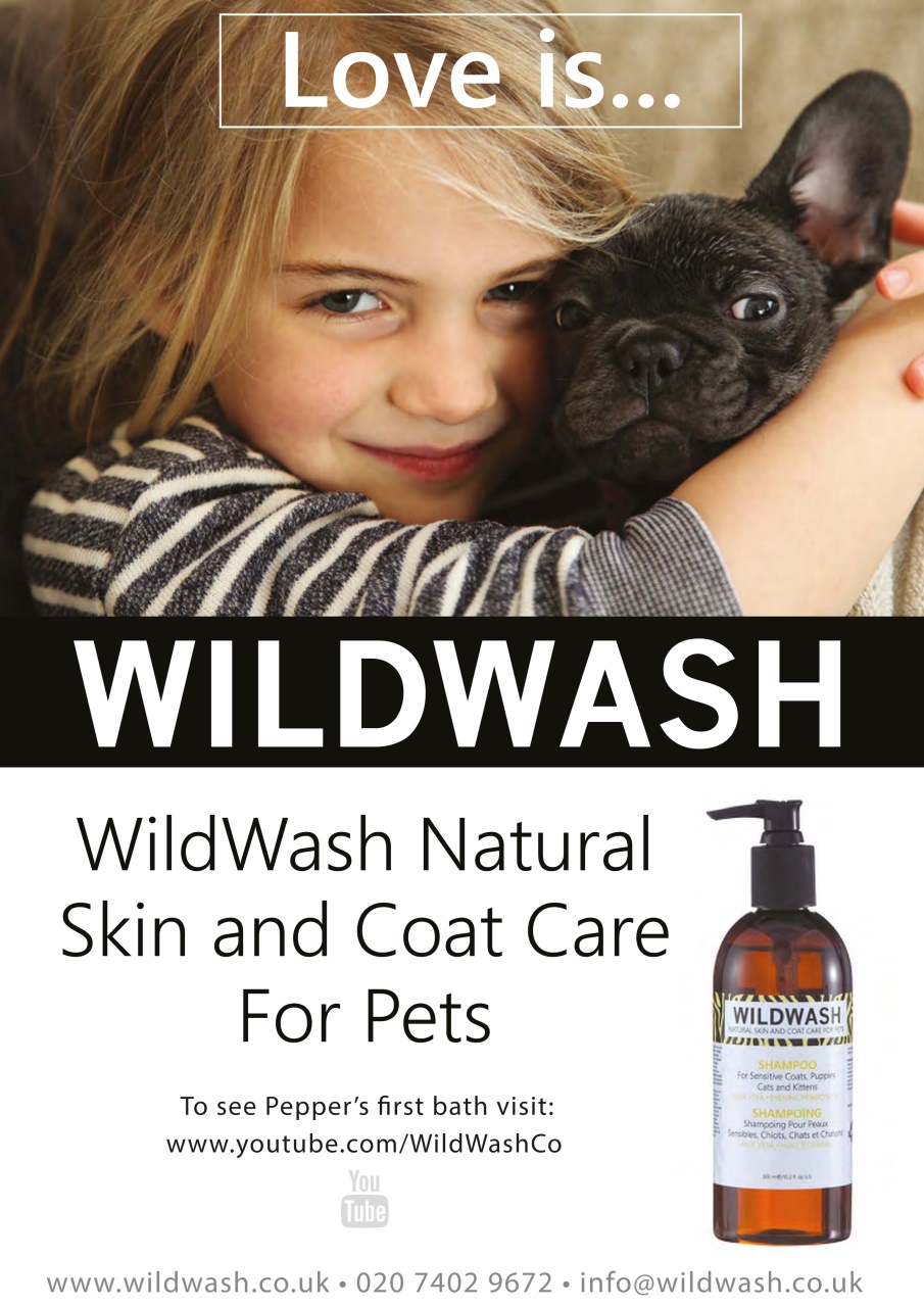 Dogs Monthly Preview Pages