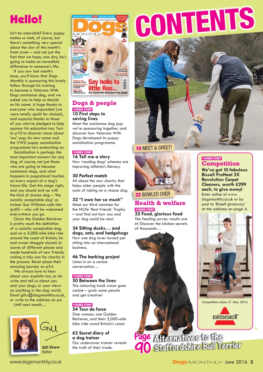 Dogs Monthly Preview Pages
