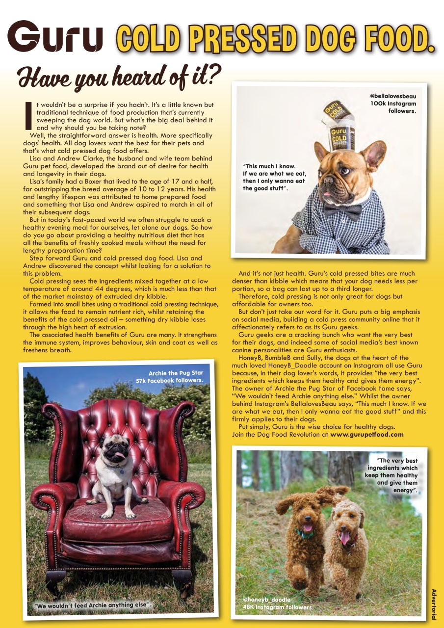 Dogs Monthly Preview Pages