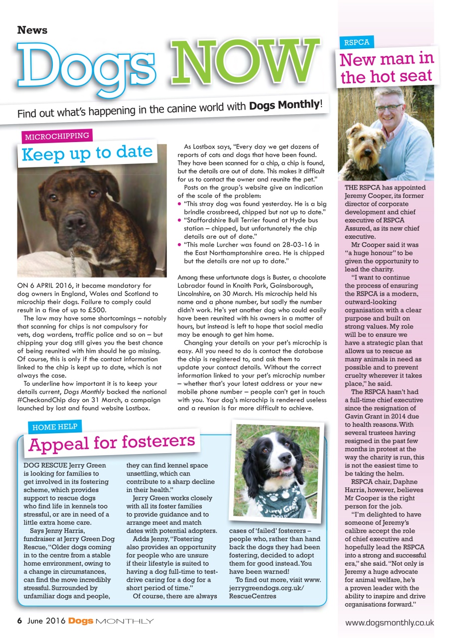 Dogs Monthly Preview Pages