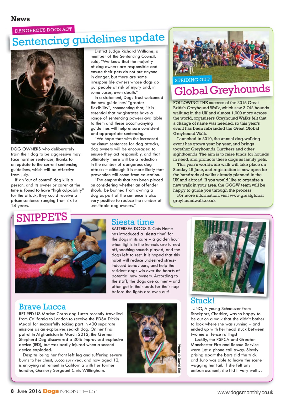Dogs Monthly Preview Pages