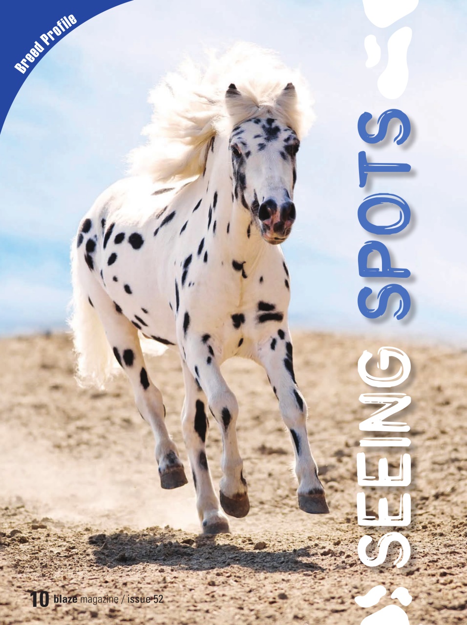 Blaze Magazine For Horse Crazy Kids Preview Pages