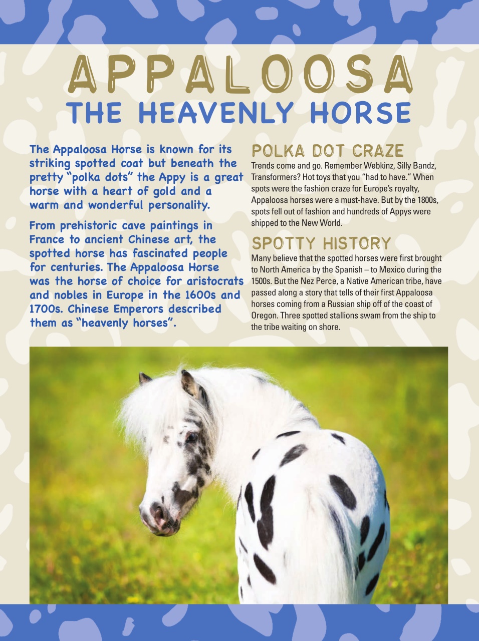 Blaze Magazine For Horse Crazy Kids Preview Pages
