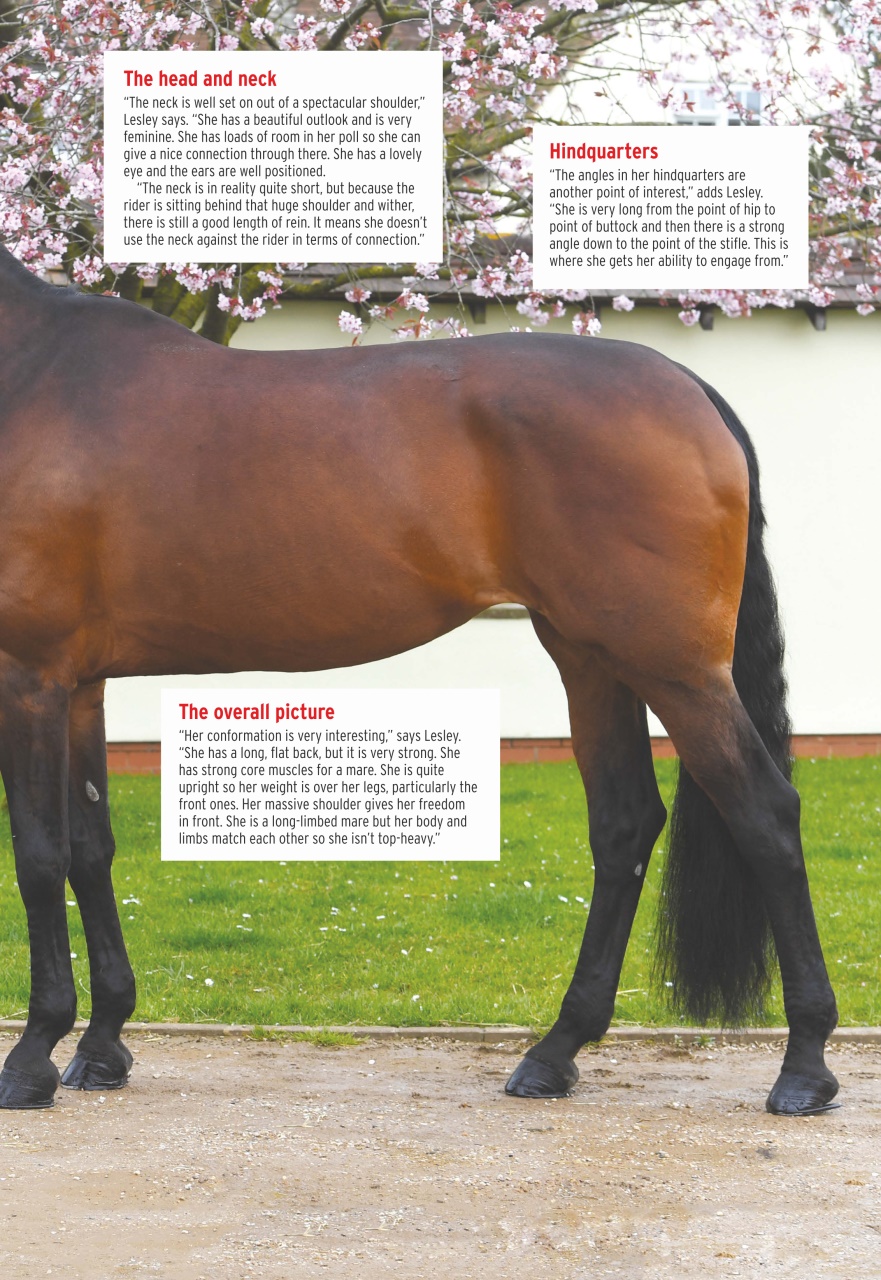 Horse & Hound Preview Pages
