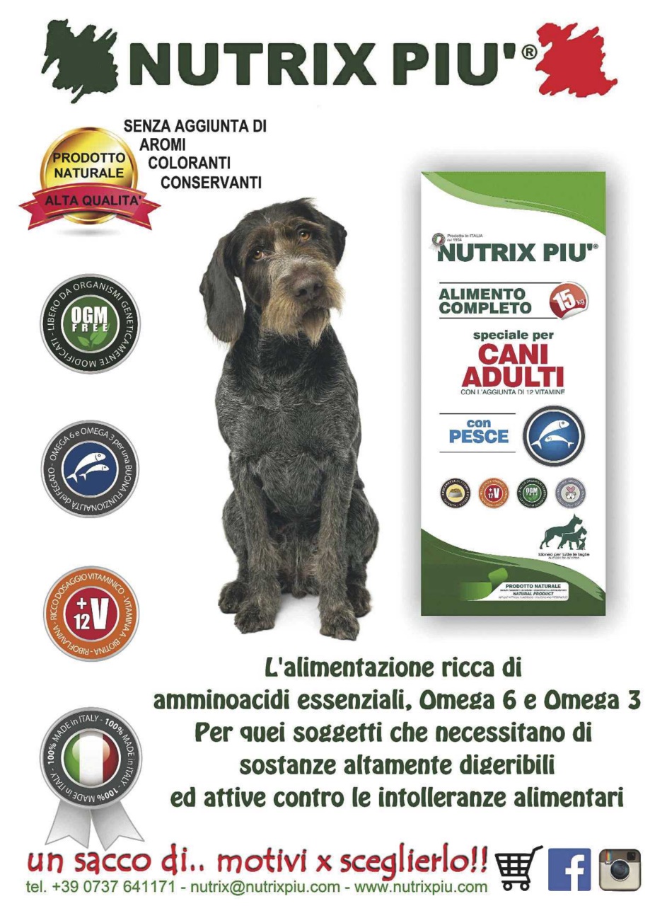 La Gazzetta Della Cinofilia Venatoria Preview Pages