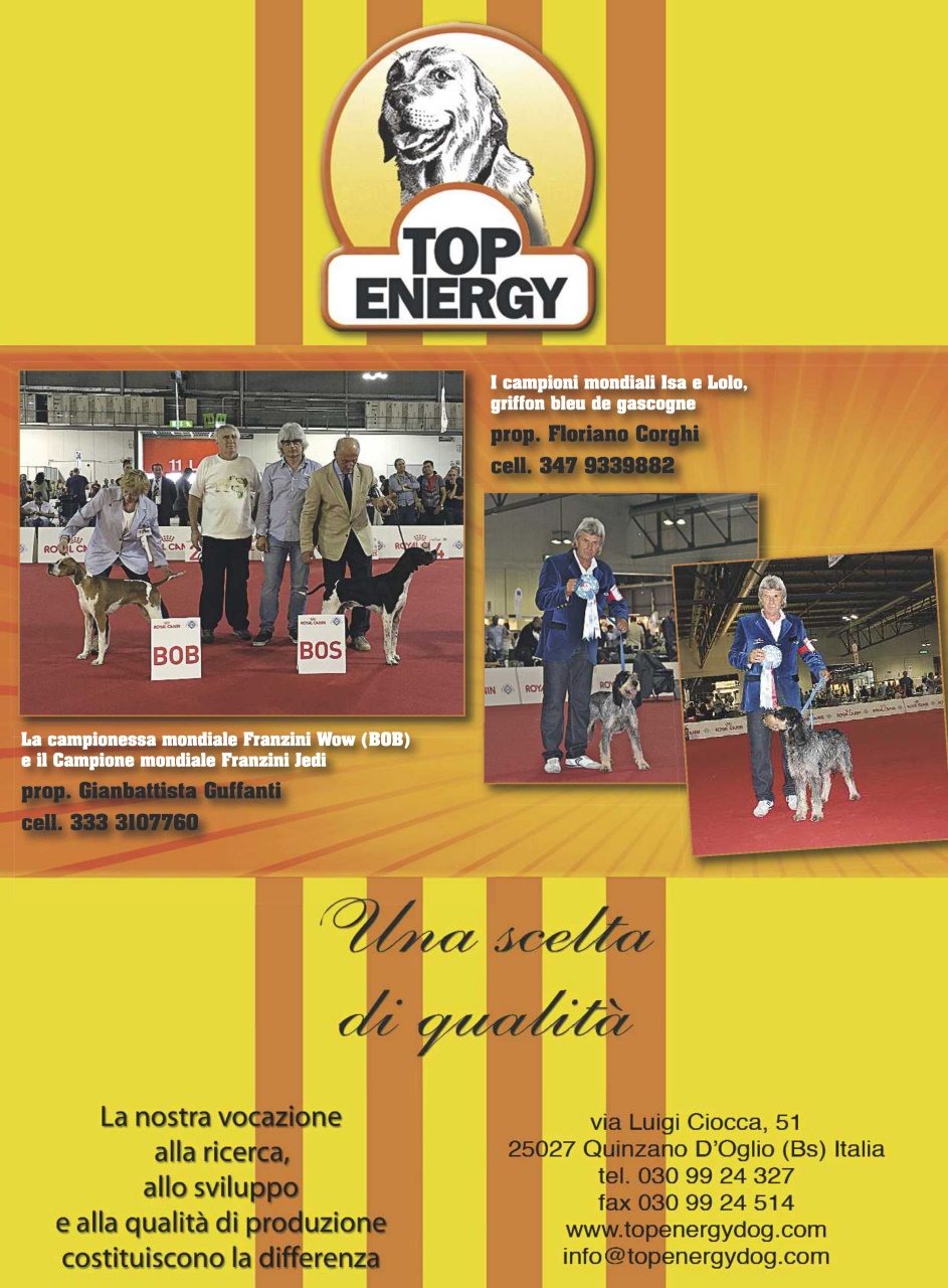 La Gazzetta Della Cinofilia Venatoria Preview Pages
