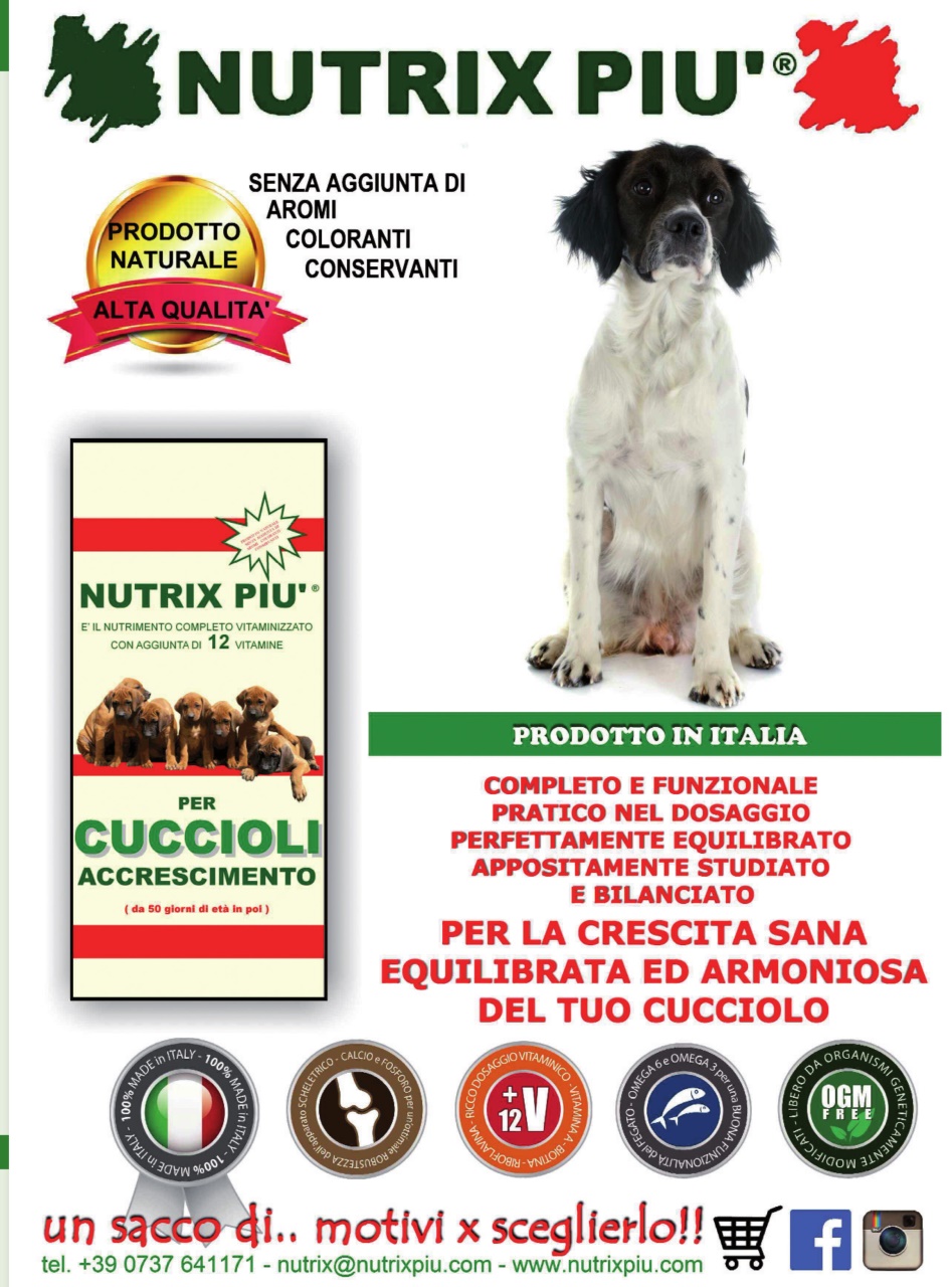 La Gazzetta Della Cinofilia Venatoria Preview Pages