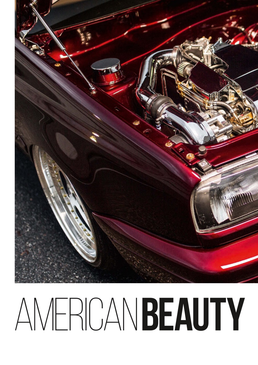 Performance VW Preview Pages