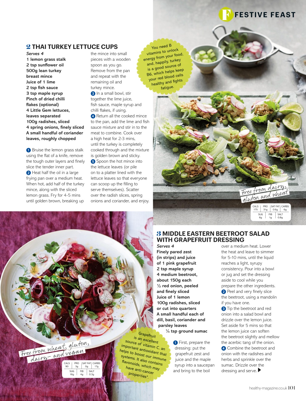 Healthy Magazine Preview Pages