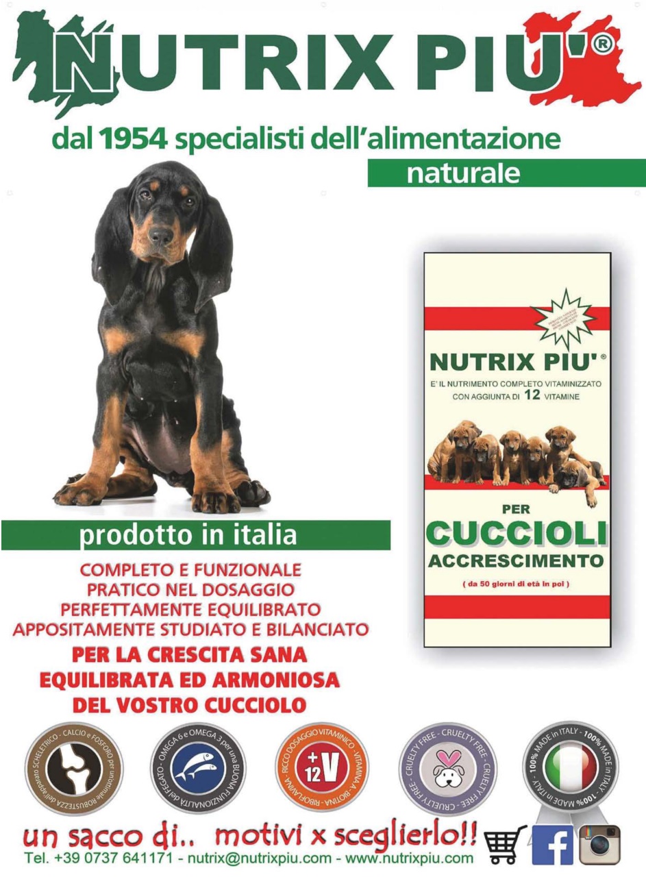 La Gazzetta Della Cinofilia Venatoria Preview Pages