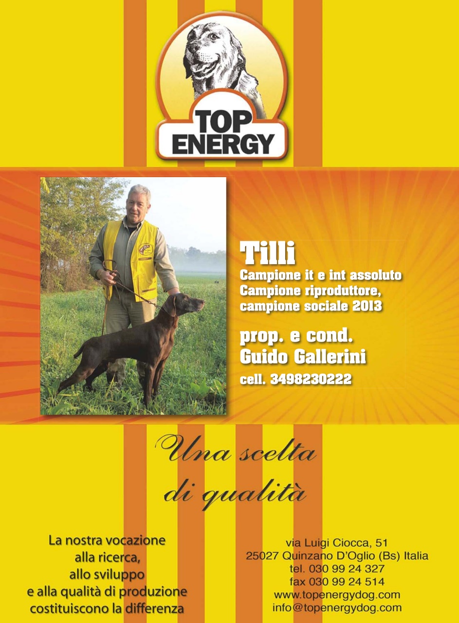 La Gazzetta Della Cinofilia Venatoria Preview Pages