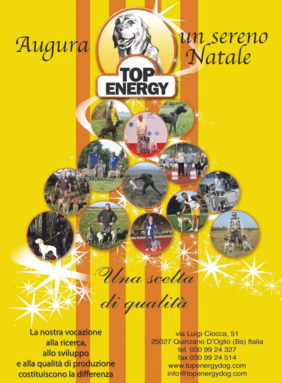La Gazzetta Della Cinofilia Venatoria Preview Pages
