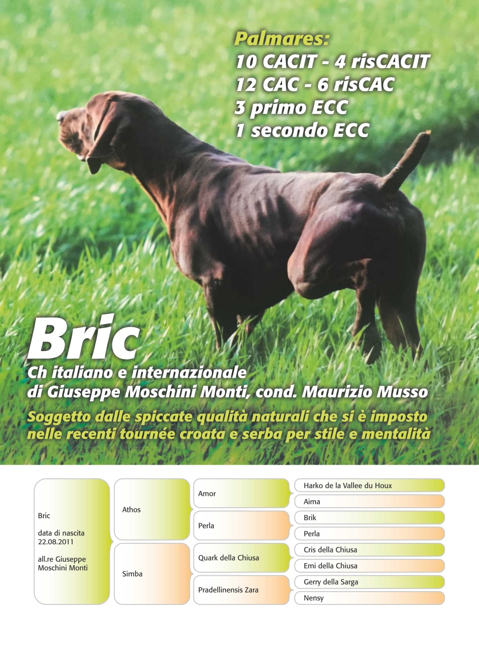 La Gazzetta Della Cinofilia Venatoria Preview Pages