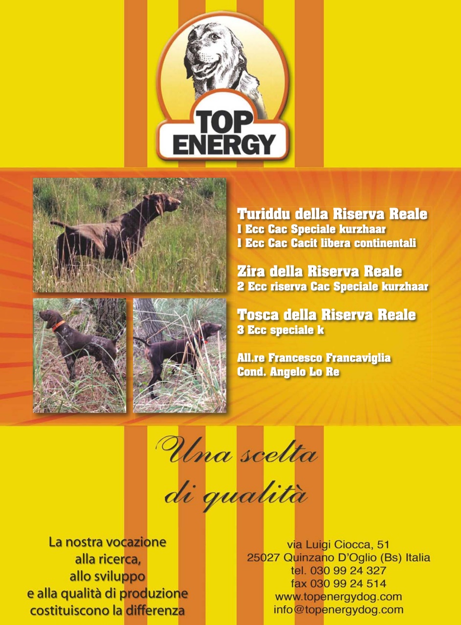 La Gazzetta Della Cinofilia Venatoria Preview Pages