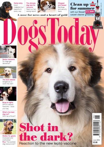 Dogs Today Magazine issue 
