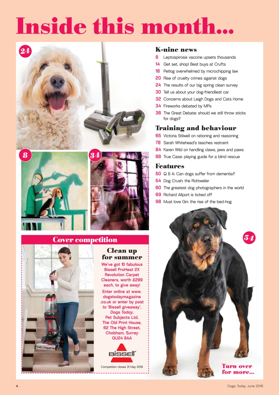 Dogs Today Magazine Preview Pages