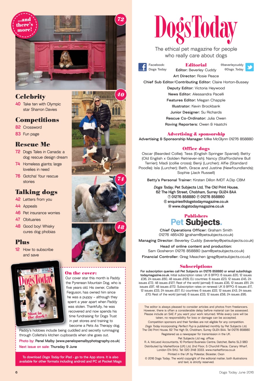 Dogs Today Magazine Preview Pages