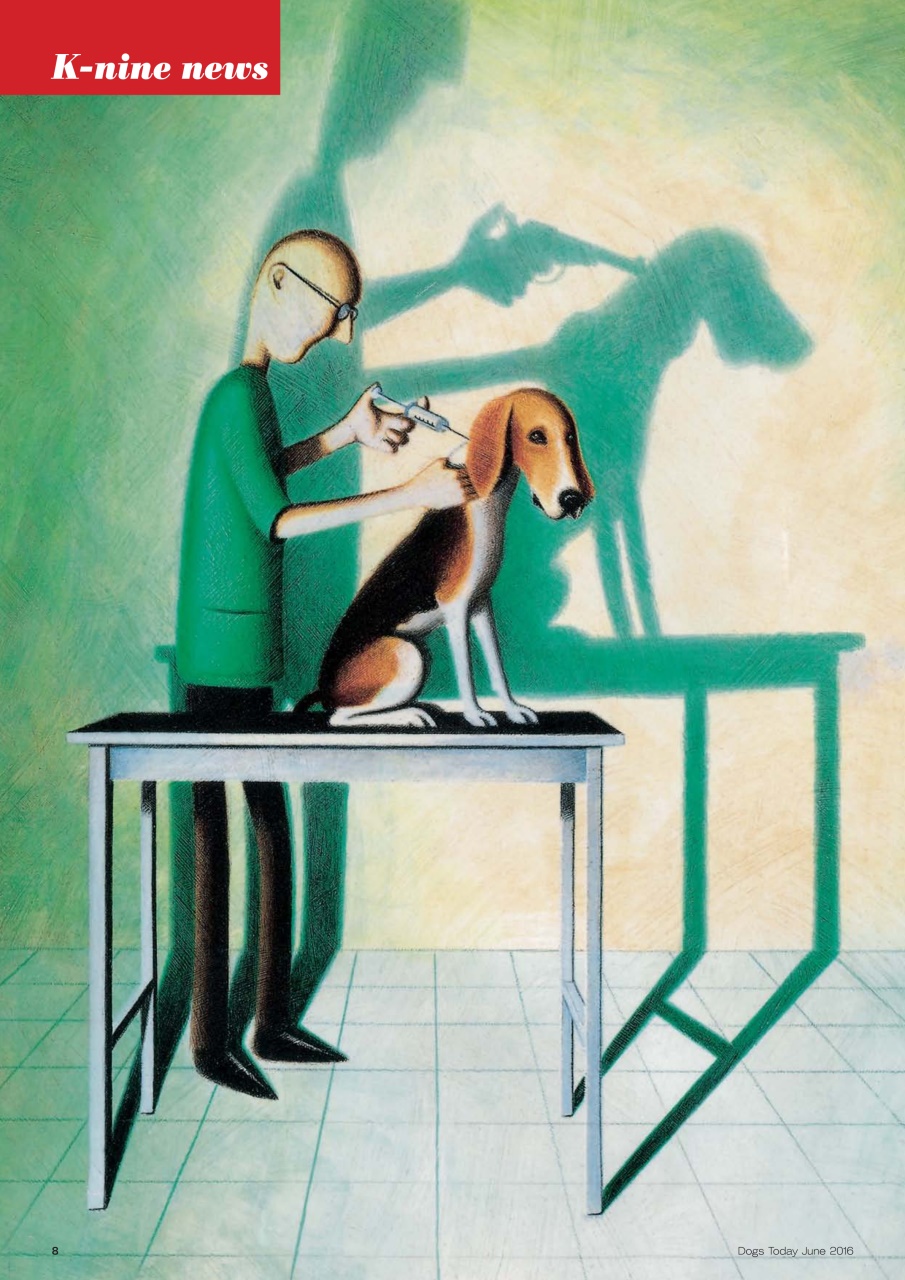 Dogs Today Magazine Preview Pages