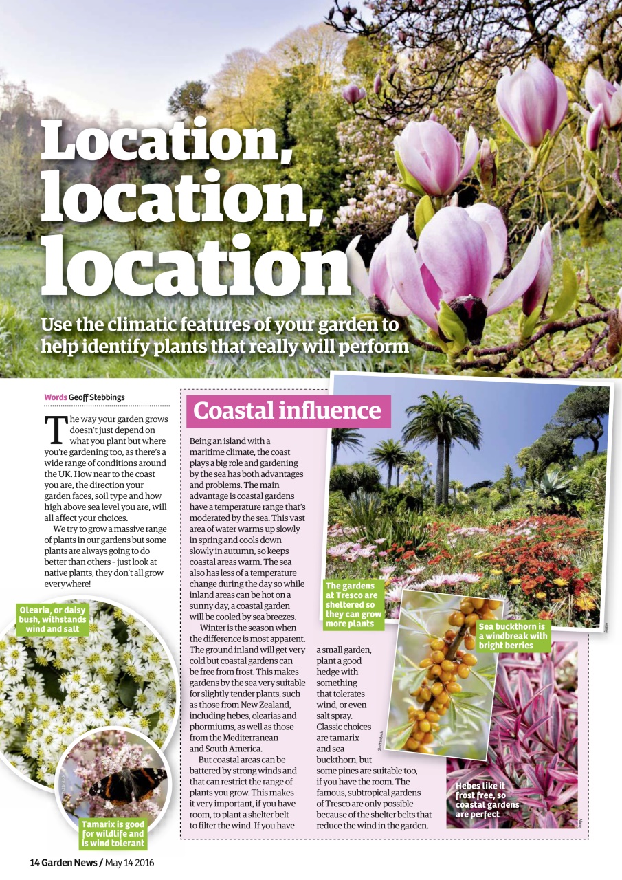 Garden News Preview Pages