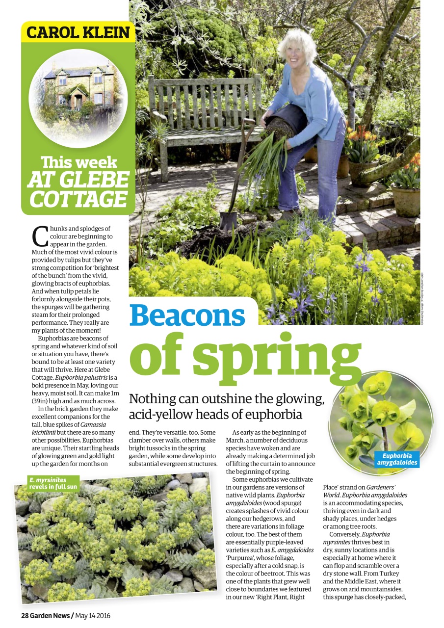 Garden News Preview Pages