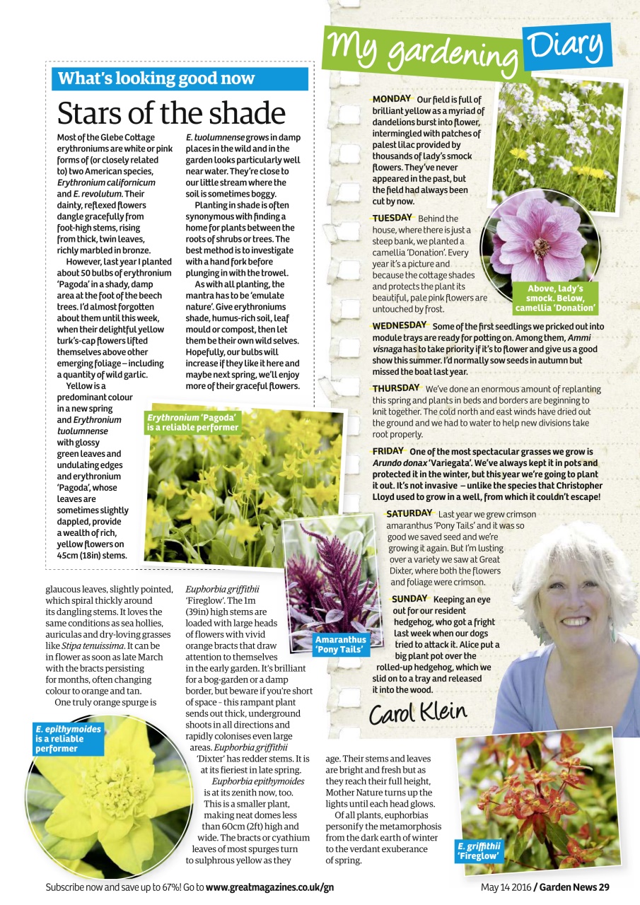 Garden News Preview Pages