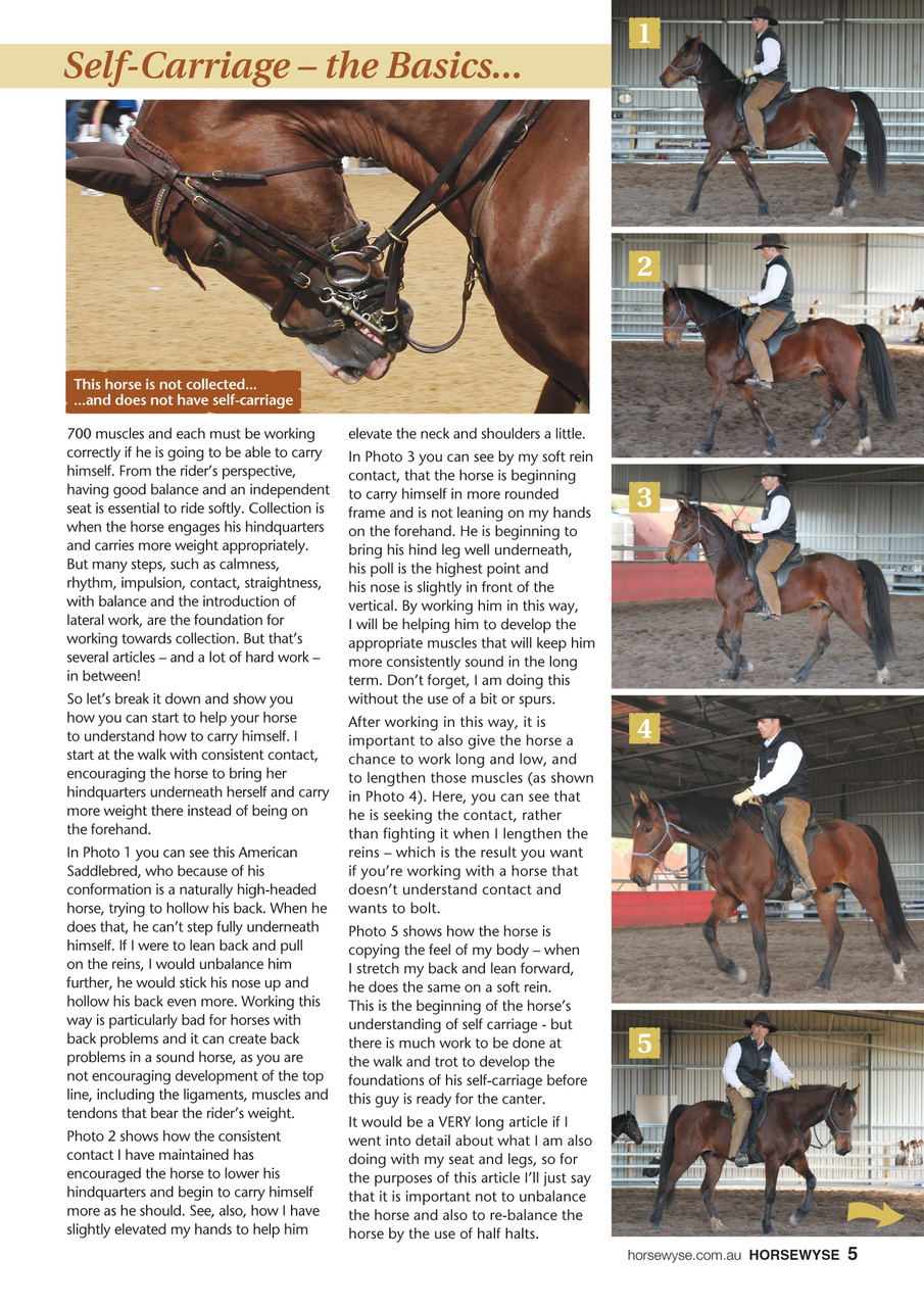 HorseWyse Magazine Preview Pages